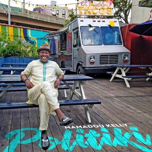 Mamadou Kelly - Politiki