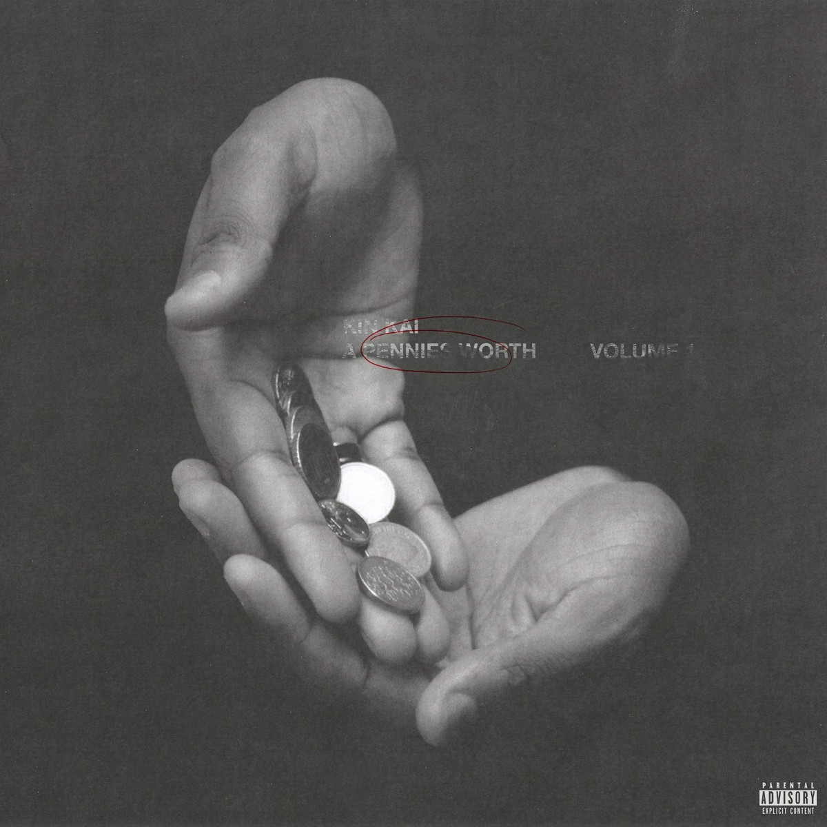 Kinkai Project - A Pennies Worth