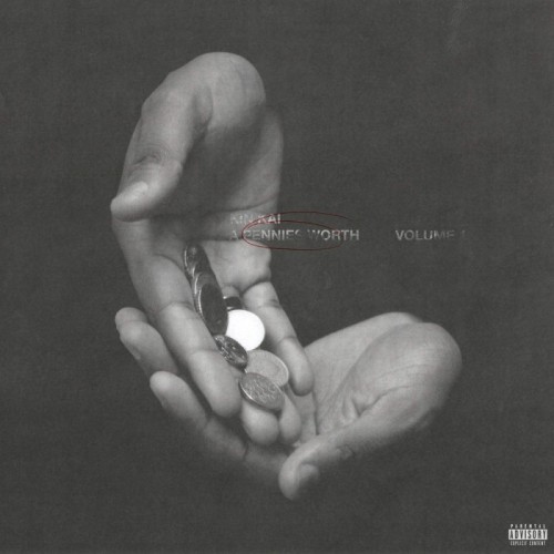 Kinkai Project - A Pennies Worth