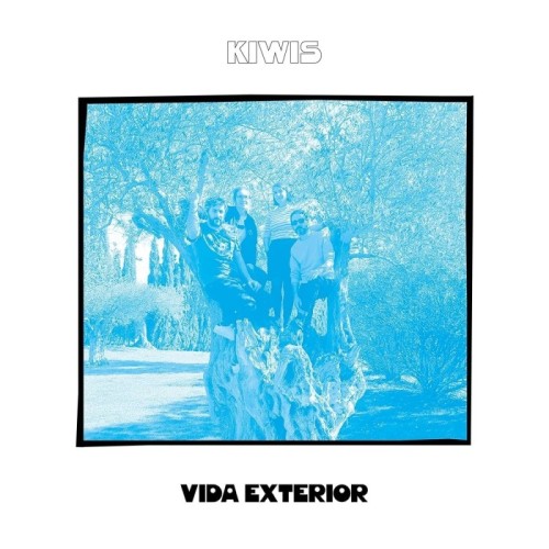 Kiwis - Vida Exterior