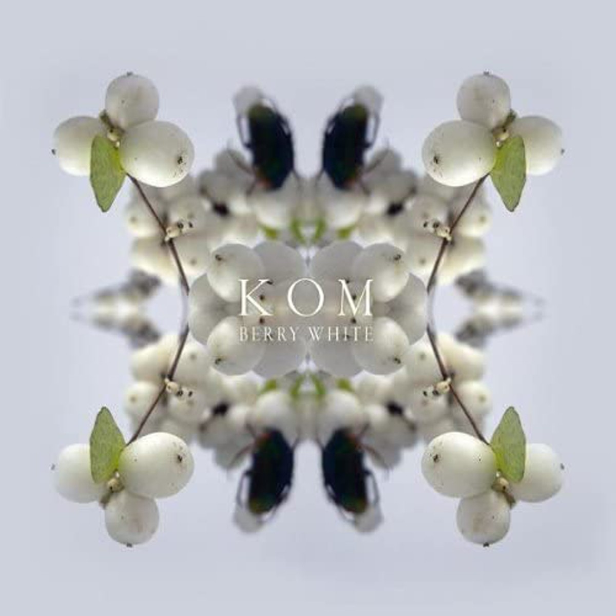 Kom - Berry White