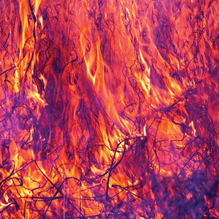 Korallreven - As Young As Yesterday