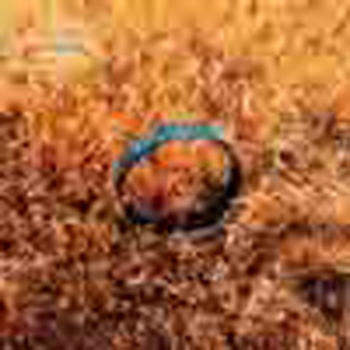 Koushik - Out My Window (Instrumentals + Bonus Beats)