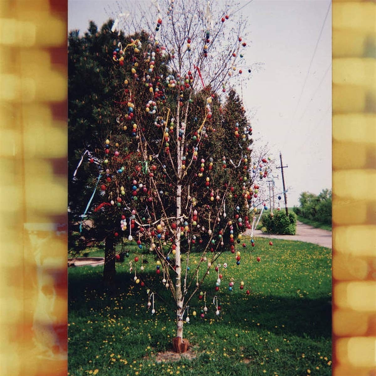 Kraus - A Golden Brain