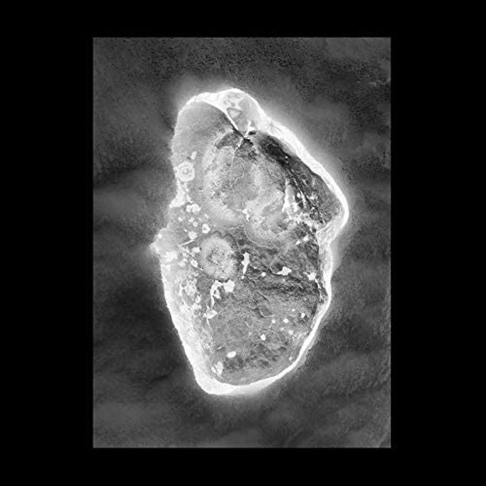 Luciano Lamanna - In Vitro