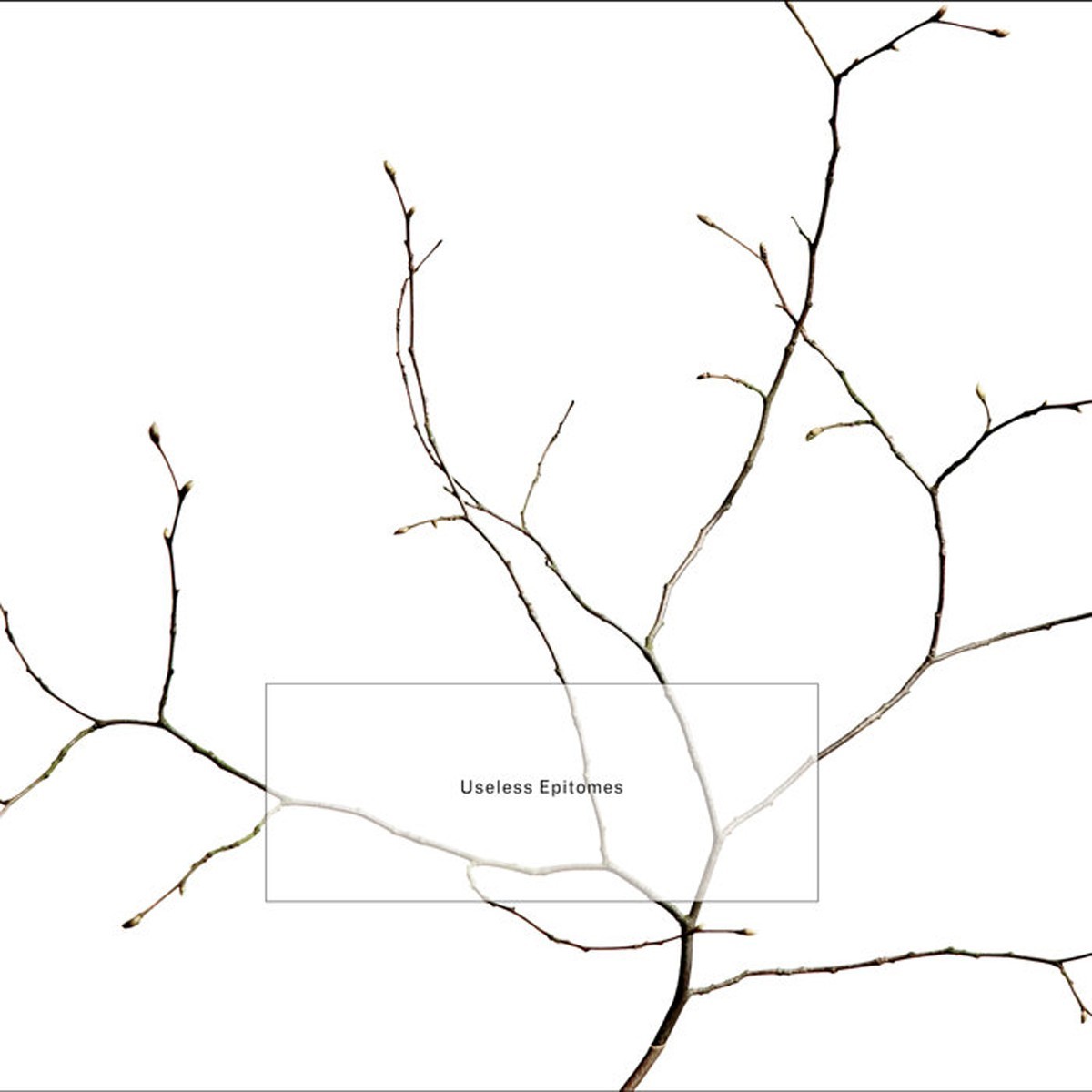 Kerry Leimer - Useless Epitomes