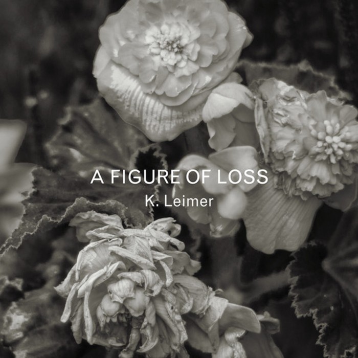 Kerry Leimer - A Figure Of Loss
