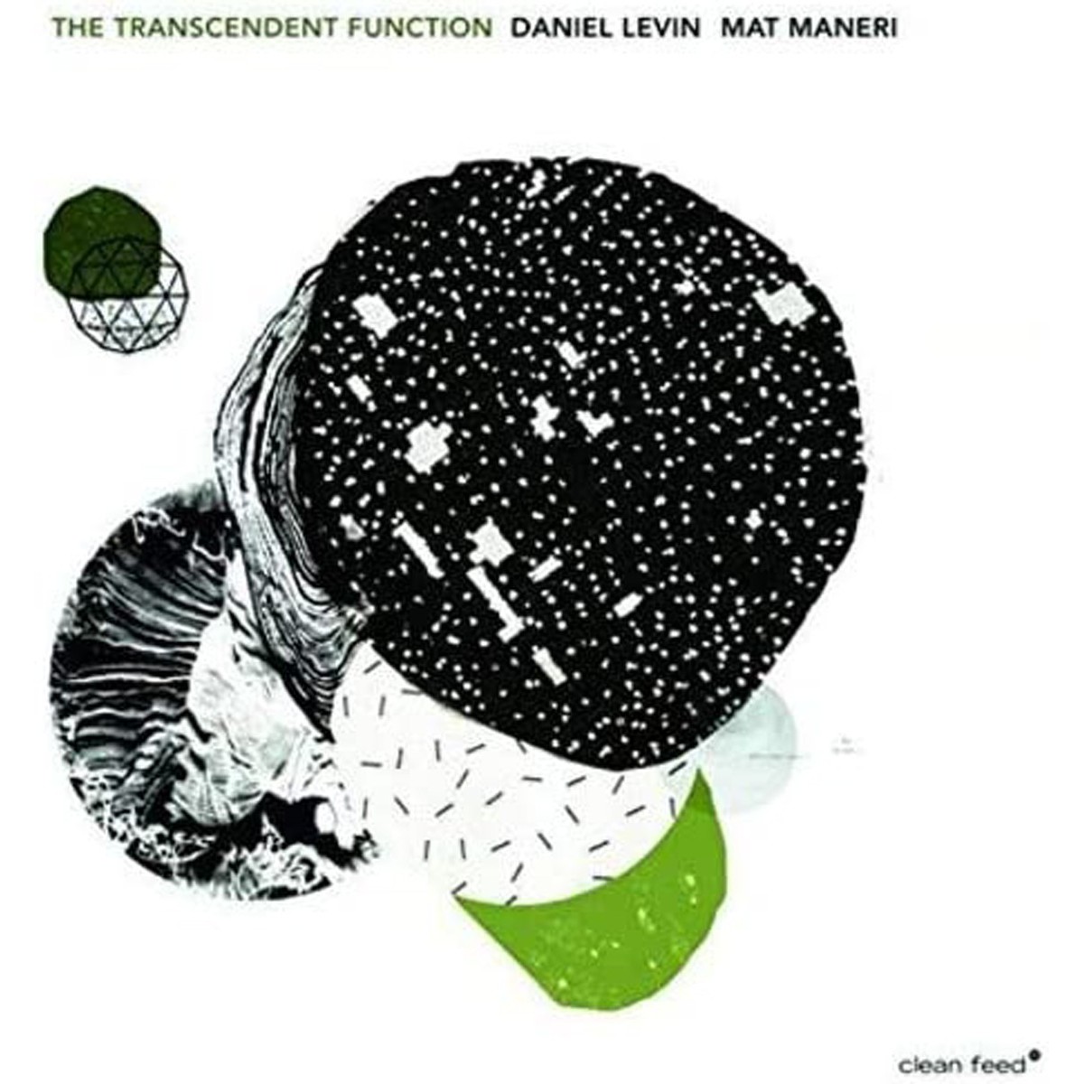 Daniel Levin & Mat Maneri - The Transcendent Function