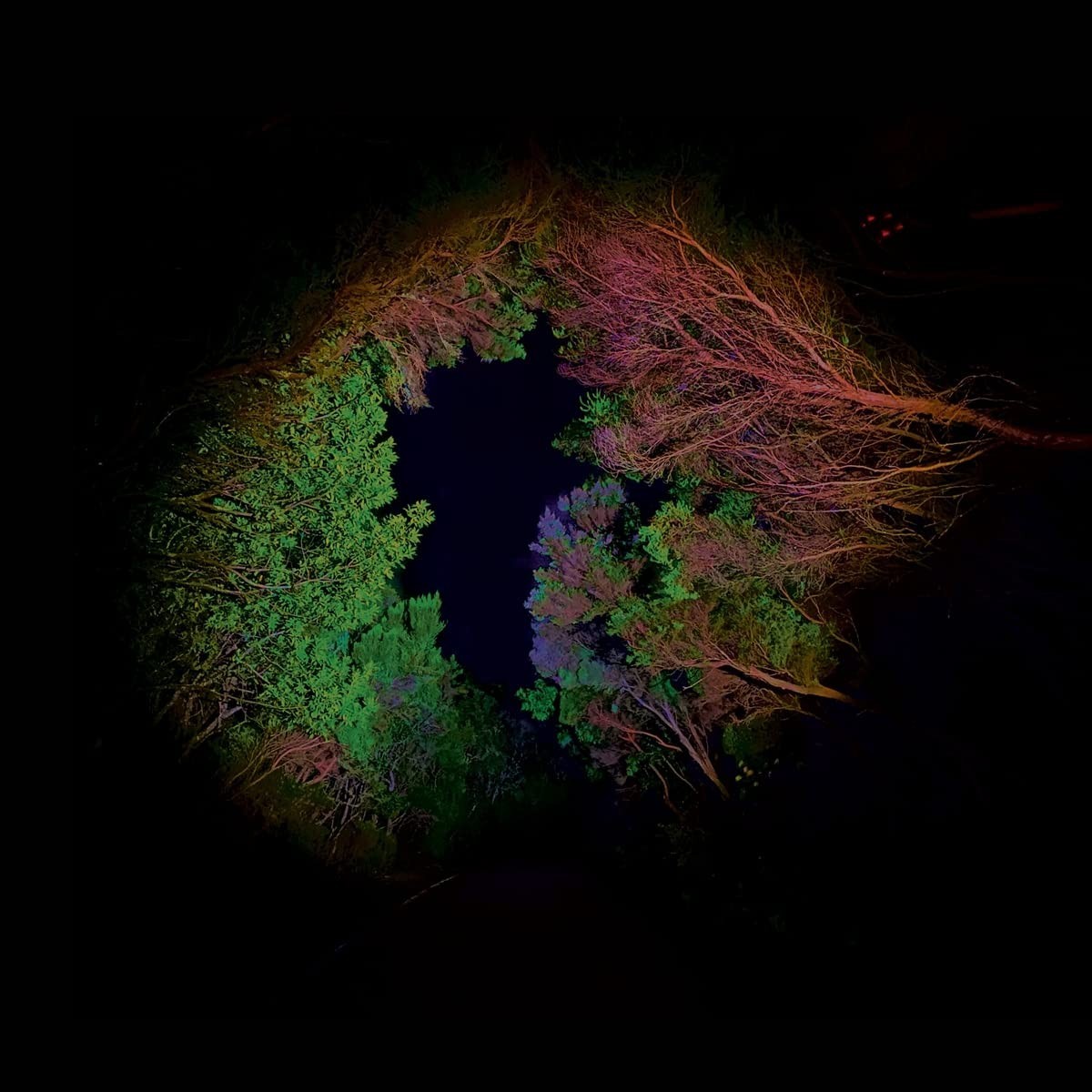 Francisco Lopez - Hidden Island Music (Untitled 398)