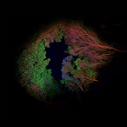 Francisco Lopez - Hidden Island Music (Untitled 398)