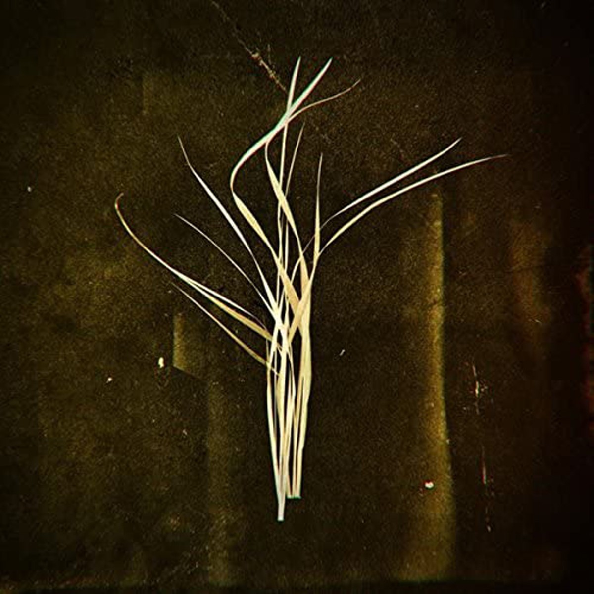 Lumisokea - Mnemosyne