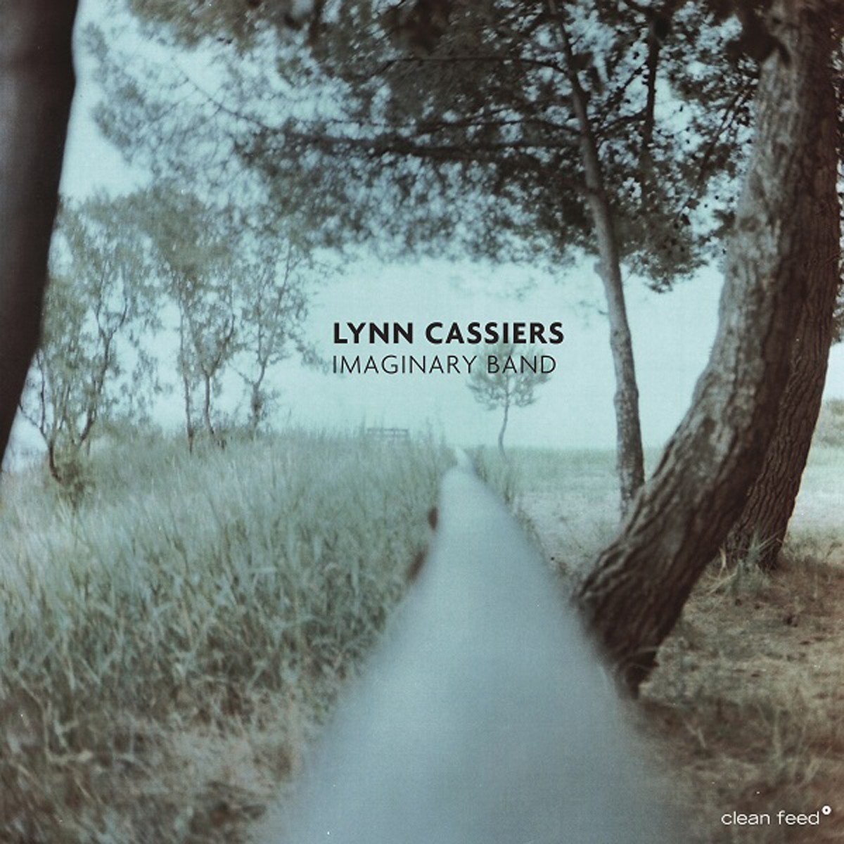 Lynn Cassiers - Imaginary Band