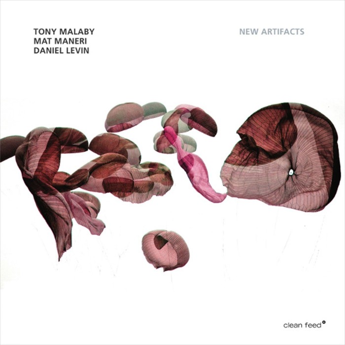 Tony Malaby & Mat Maneri & Daniel Levin - New Artifacts