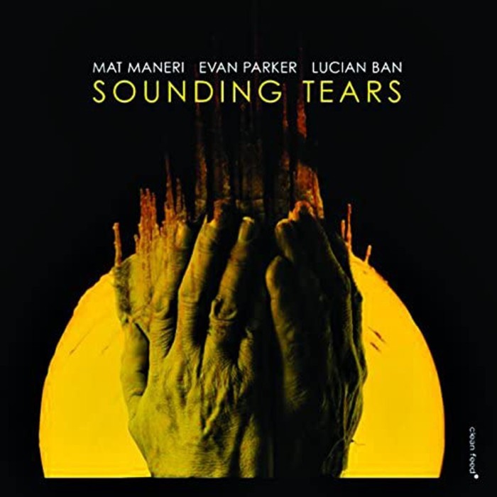 Mat Maneri & Evan Parker & Lucian Ban - Sounding Tears