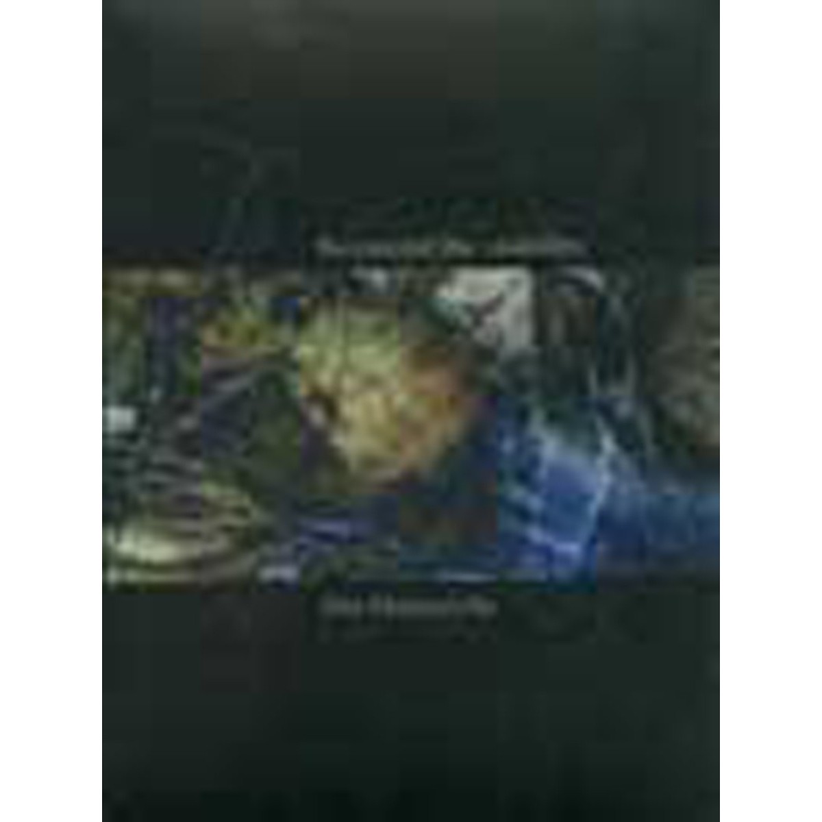 Elio Martusciello - To Extend The Visibility