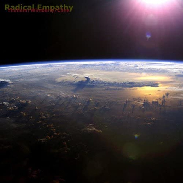 Thollem McDonas & Nels Cline - Radical Empathy
