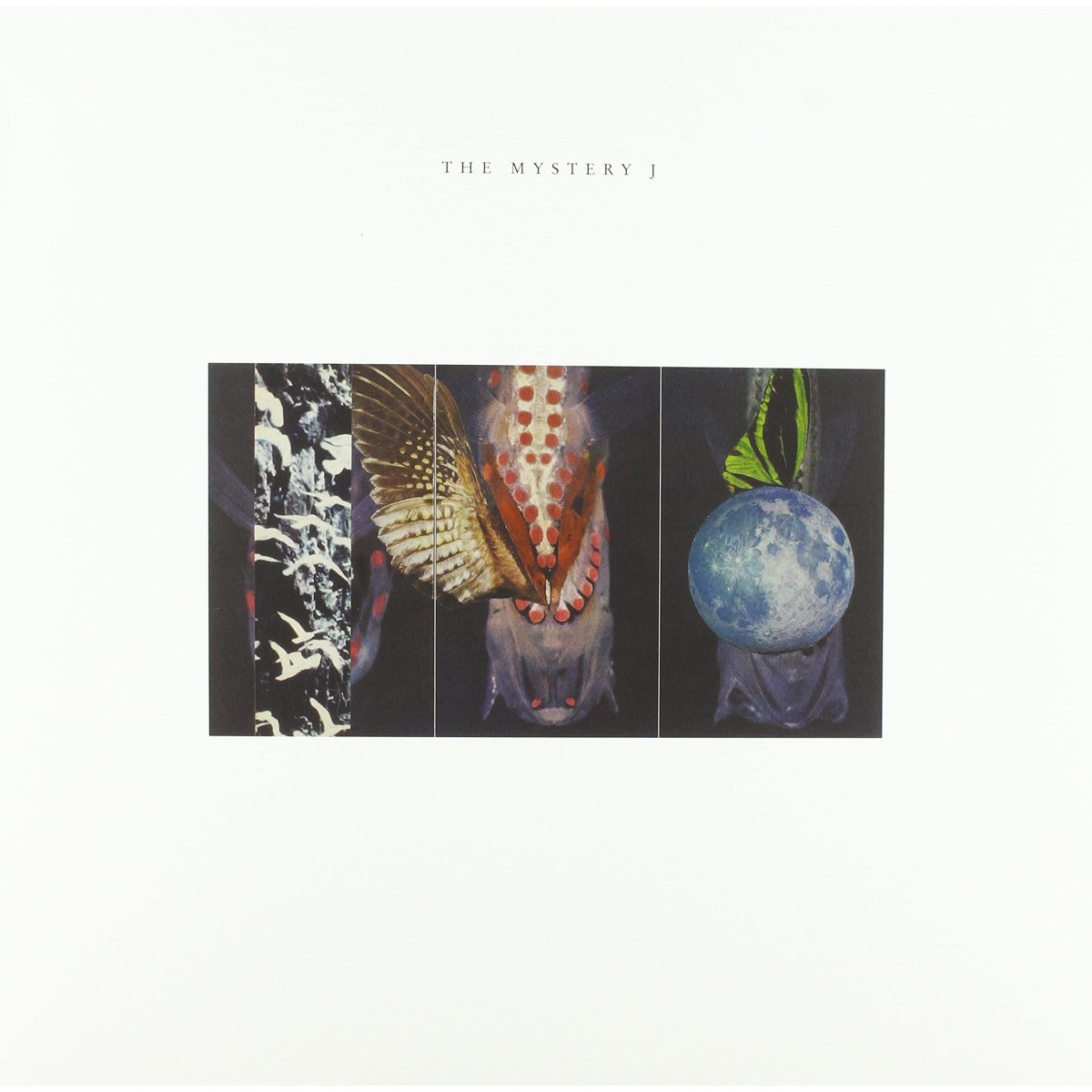 Joe McPhee & Jen Clare Paulson & Brian Labycz - Mystery J