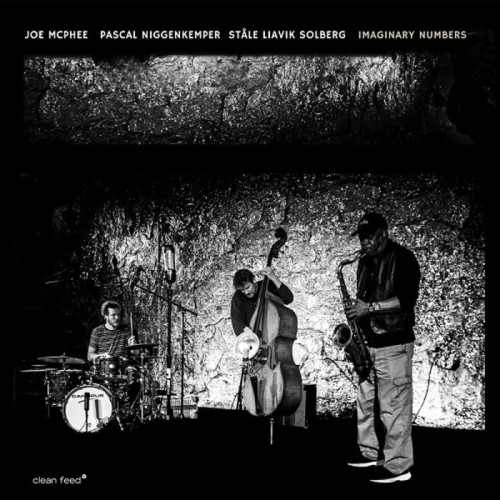 Joe McPhee & Pascal Niggenkemper & Stale Liavik Solberg - Imaginary Numbers