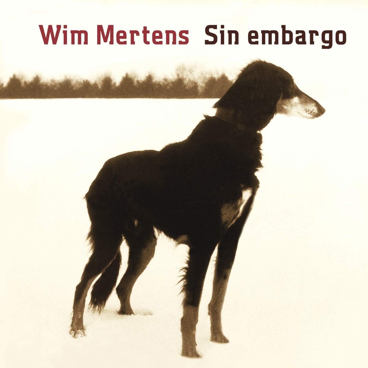 Wim Mertens - Sin Embargo