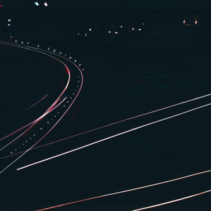 Merzbow & Oren Ambarchi - Cat's Squirrel