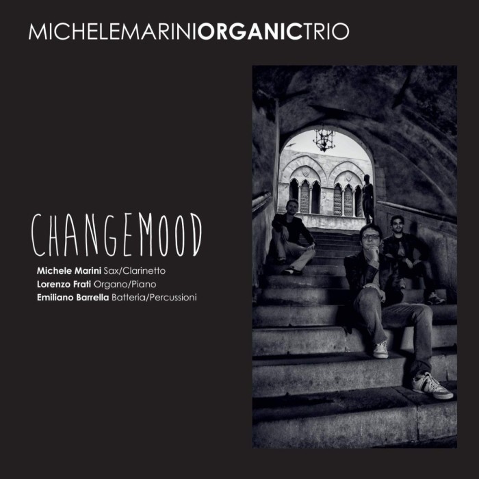 Michele Marini Organic Trio - Changemood Feat. Riccardo Tesi