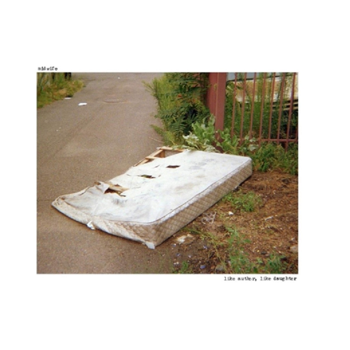 Midwife - Like Author, Like Daughter