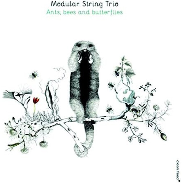 Modular String Trio - Ants Bees And Butterflies