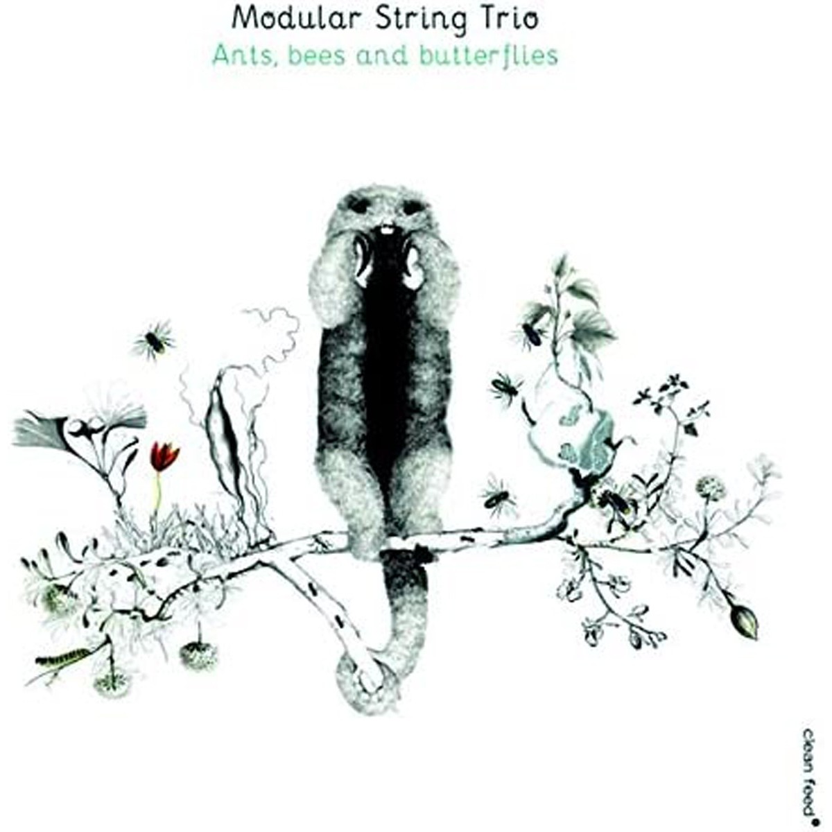 Modular String Trio - Ants Bees And Butterflies