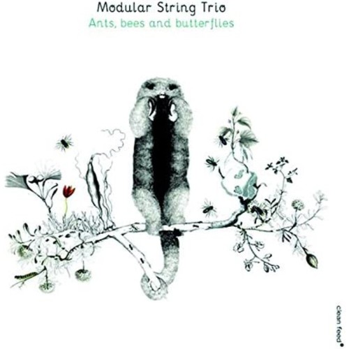 Modular String Trio - Ants Bees And Butterflies