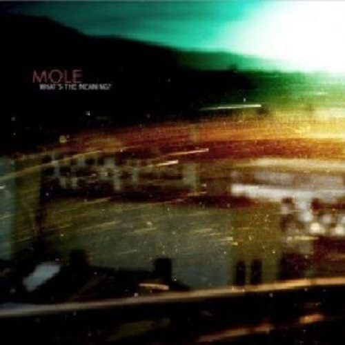 Mole - What's The Meaning?