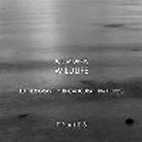 Joe Morris - Wildlife Traits