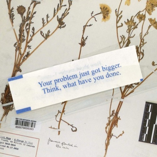 Elliot Moss - A Change In Diet