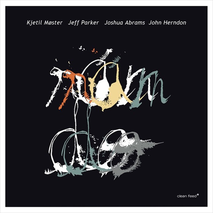 Kjetil Moster & Jeff Parker & Joshua Abrams & John Herndon - Ran Do