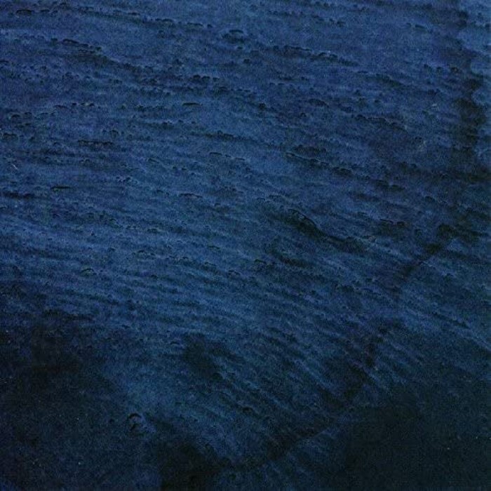 Multicast Dynamics - Aquatic System