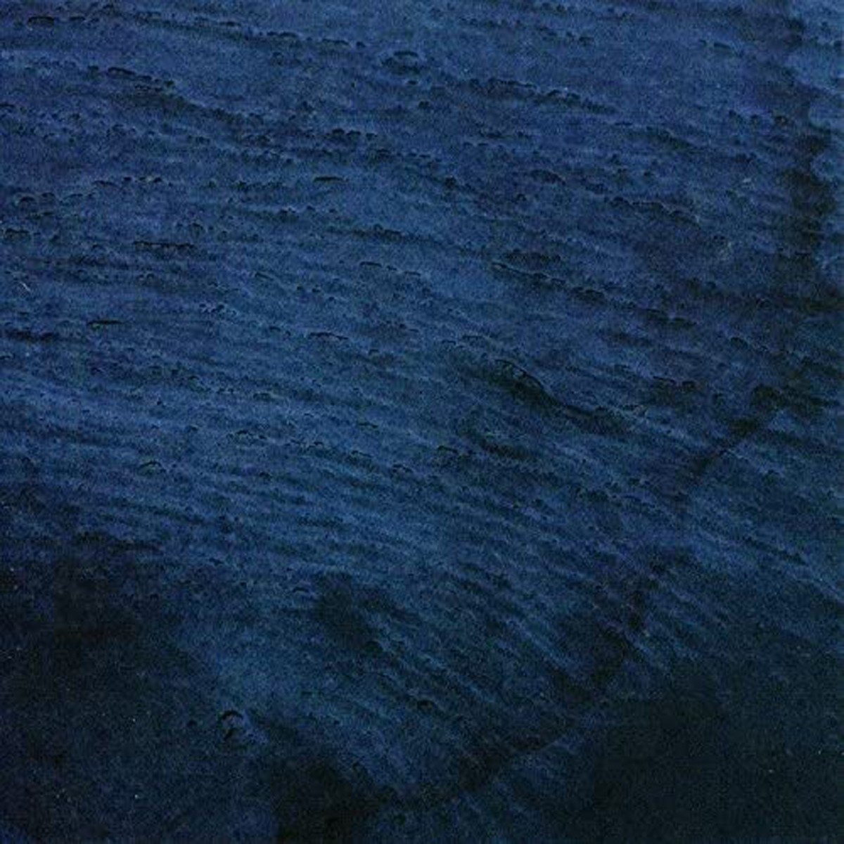 Multicast Dynamics - Aquatic System