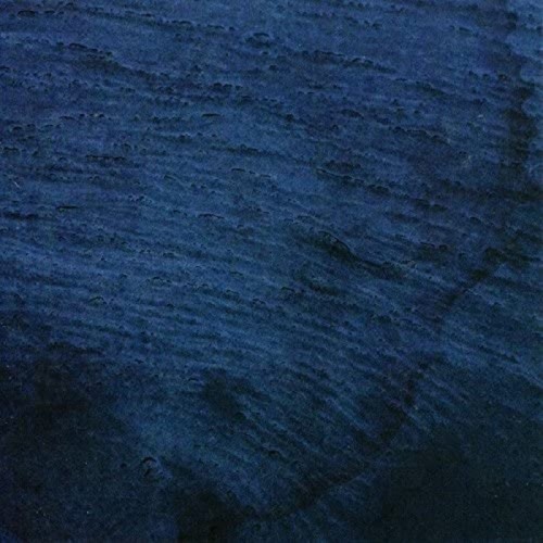Multicast Dynamics - Aquatic System