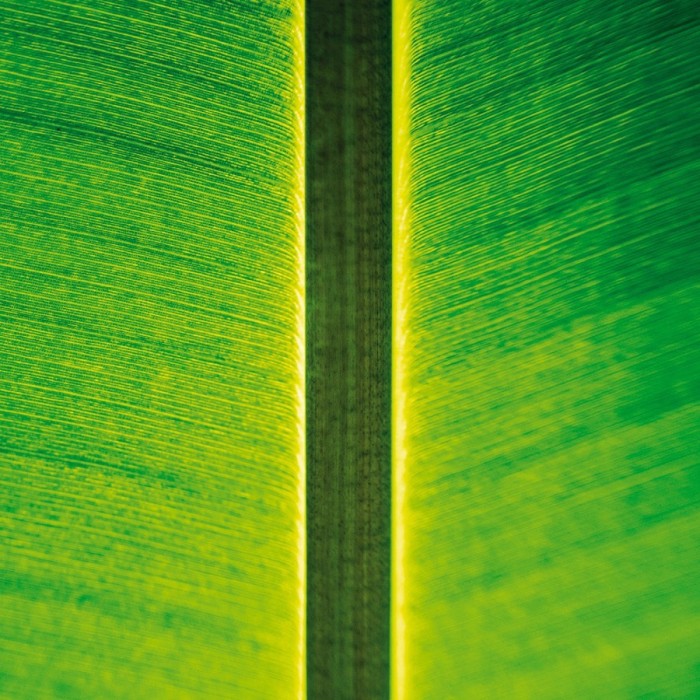 Fahmi Mursyid - One Instrument Sessions