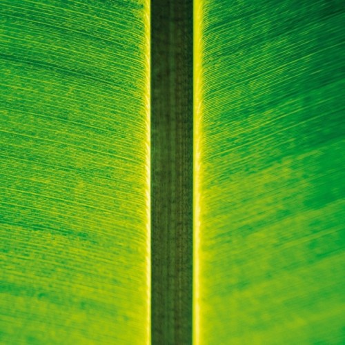 Fahmi Mursyid - One Instrument Sessions