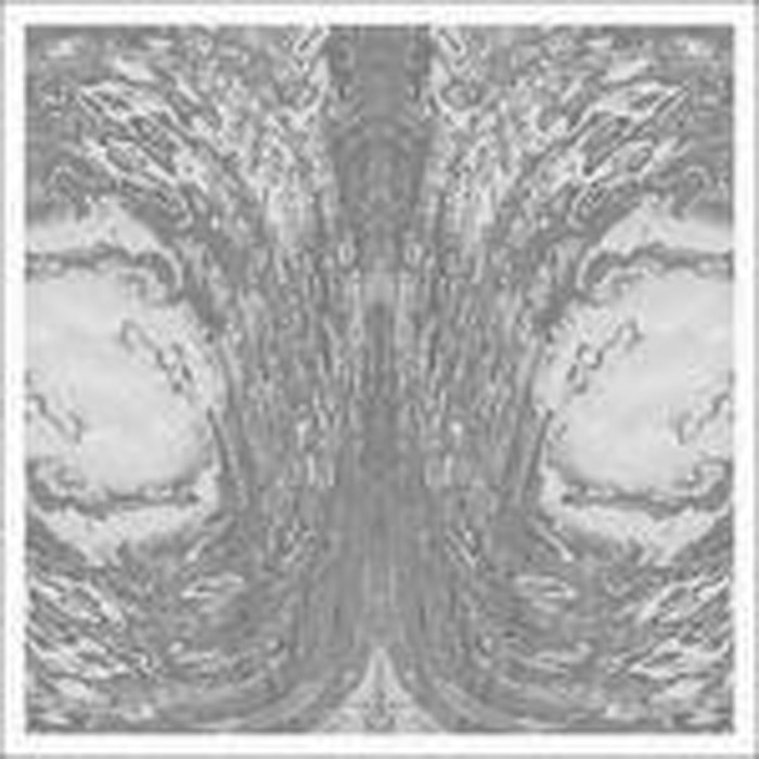 Necro Deathmort - Capsule