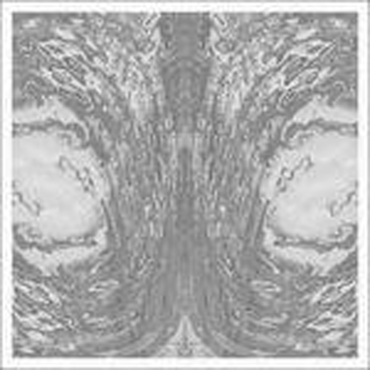 Necro Deathmort - Capsule