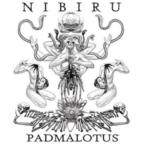 Nibiru - Padmalotus