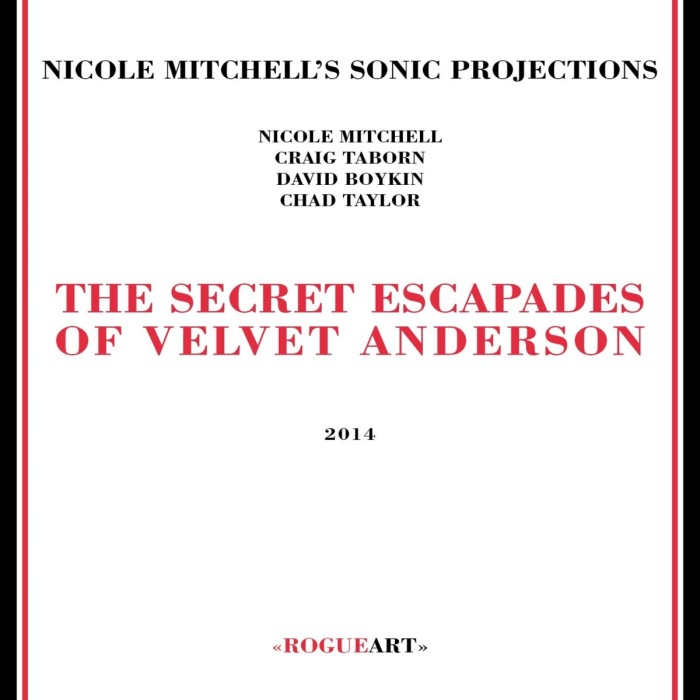 Nicole Mitchell's Sonic Projections - Secret Escapades Of Velvet Anderson