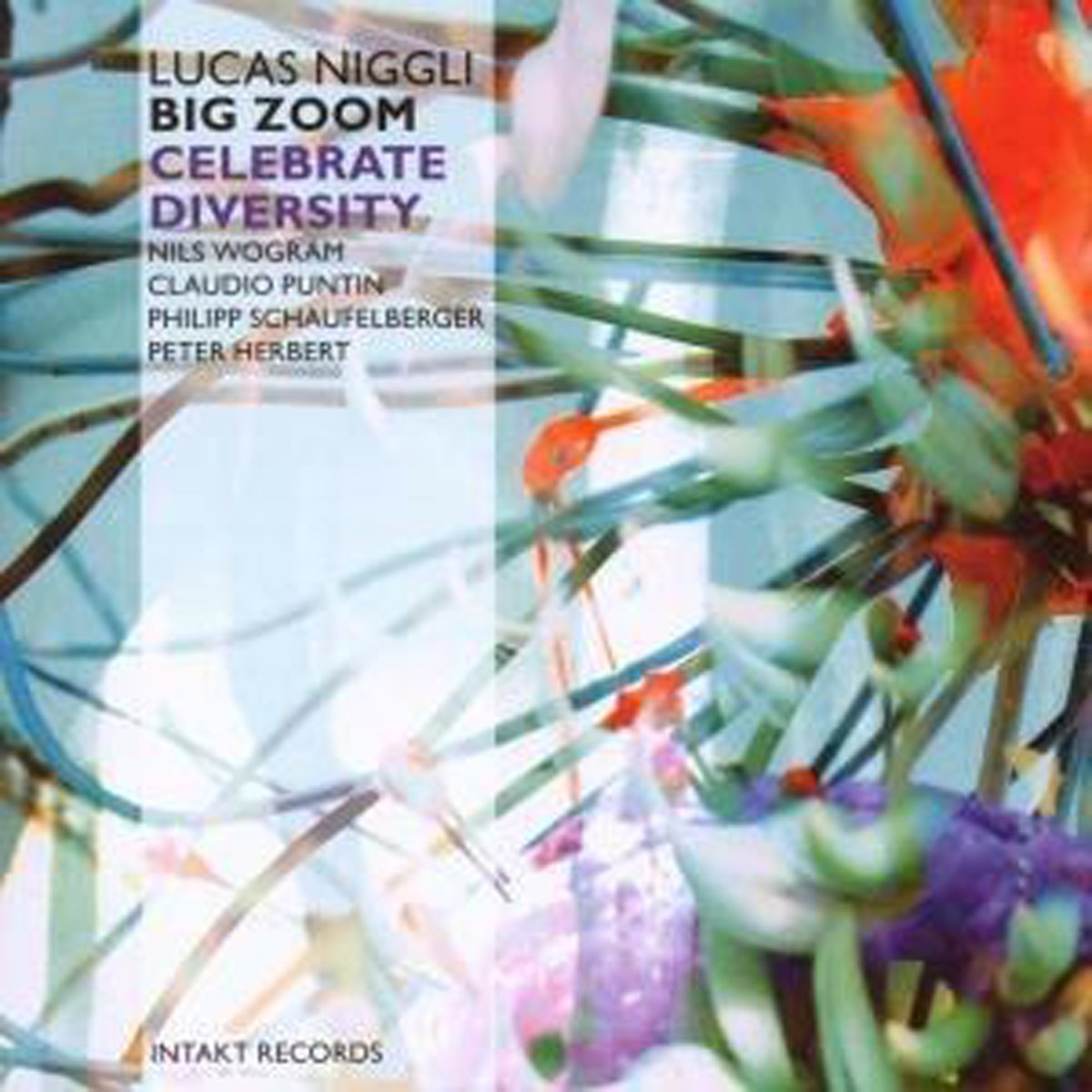 Lucas Niggli Big Zoom - Celebrate Diversity