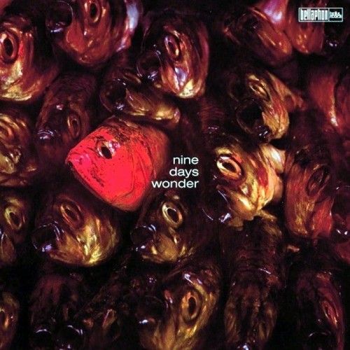 Nine Days' Wonder - Nine Days Wonder