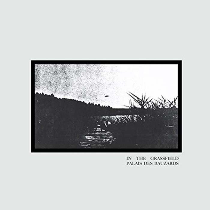 Palais Des Bauzards - In The Grassfield