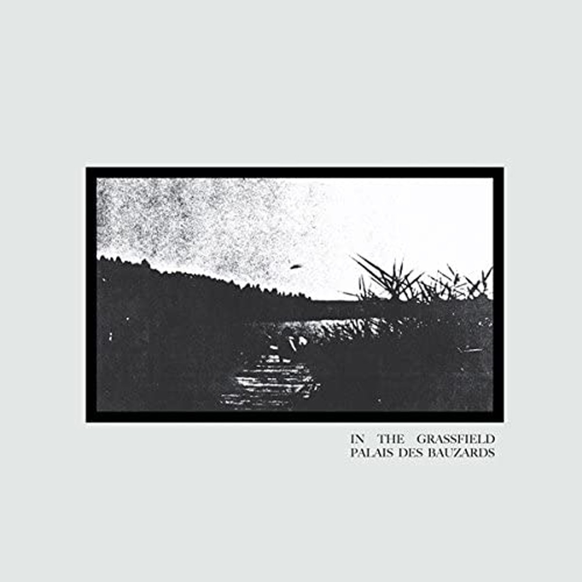 Palais Des Bauzards - In The Grassfield