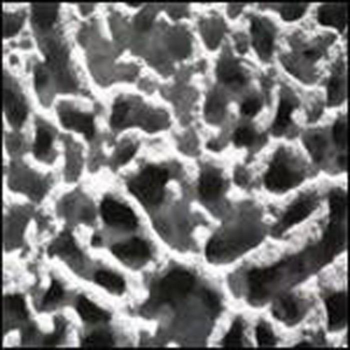 Gaetano Partipilo & Miles Okazaki & Dan Weiss - I Like Too Much