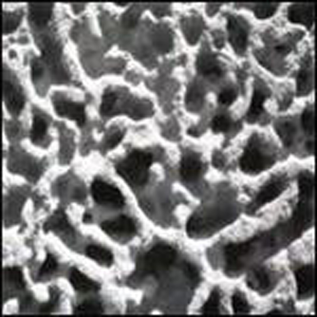 Gaetano Partipilo & Miles Okazaki & Dan Weiss - I Like Too Much