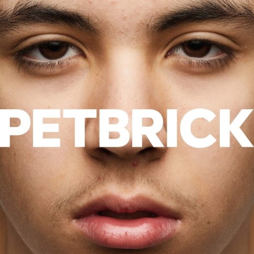 Petbrick - I (Black / Clear Vinyl)