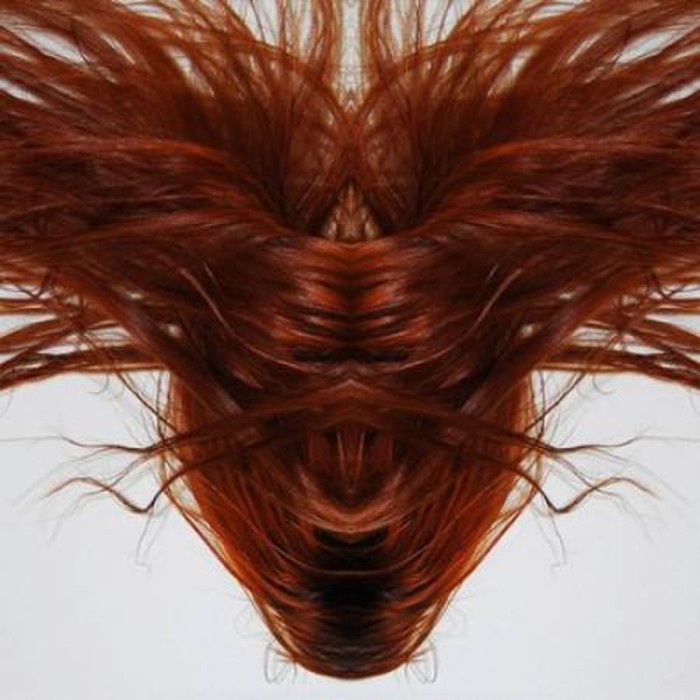 Dave Phillips - A Collection Of Hair